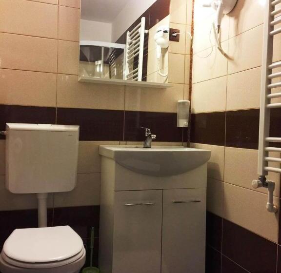 پانسیون Transilvania Garden House