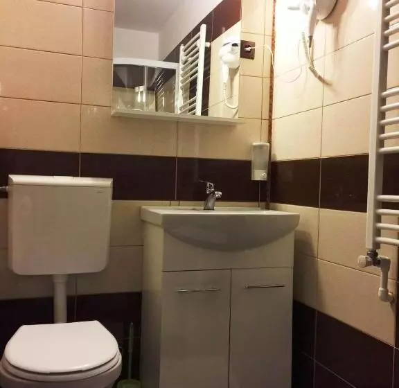 ペンション Transilvania Garden House