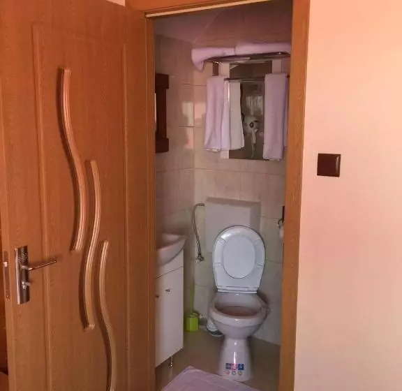 ペンション Transilvania Garden House