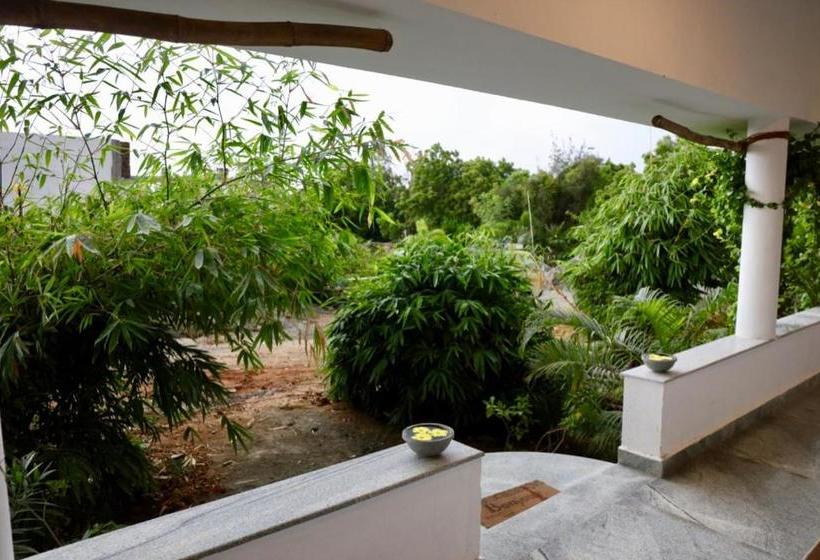 בית מלון כפרי Alice Paradise By Moonrakers