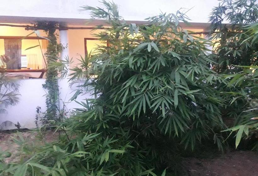 בית מלון כפרי Alice Paradise By Moonrakers