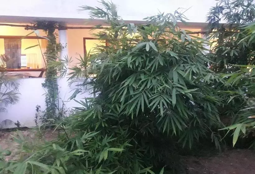 Hotelli Alice Paradise By Moonrakers