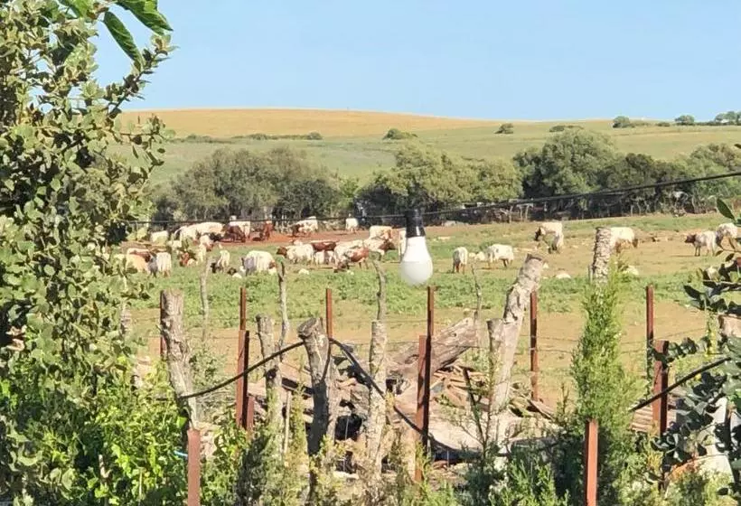هتل Alojamiento Rural El Soldao
