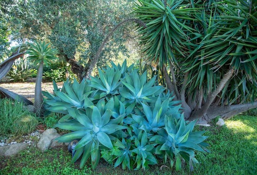 Nocleg ze śniadaniem Il Dunnè