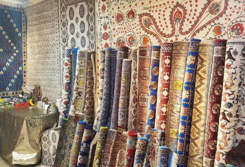 פנסיון Optimist