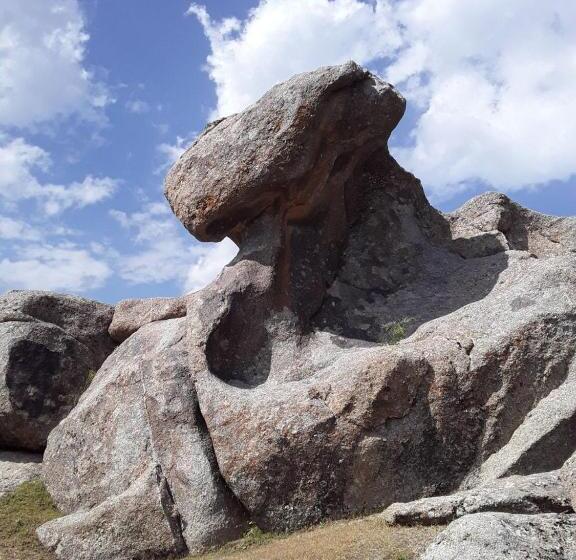 פנסיון Optimist