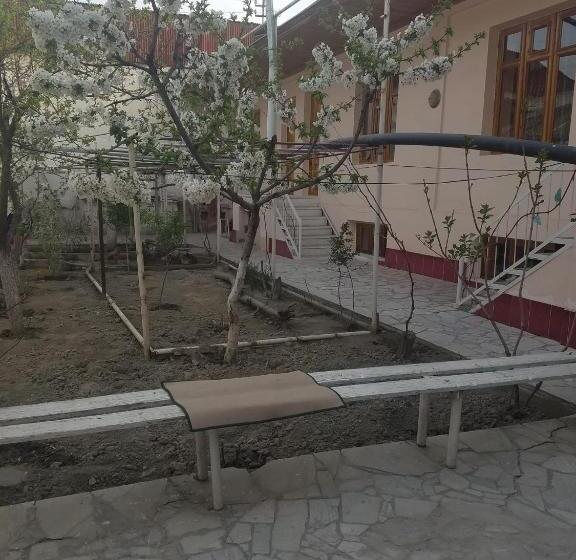 פנסיון Optimist