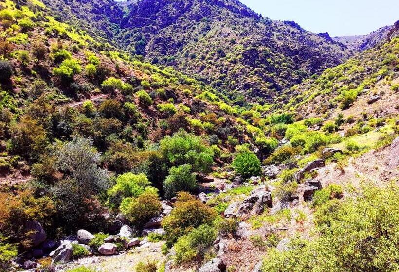 פנסיון Optimist