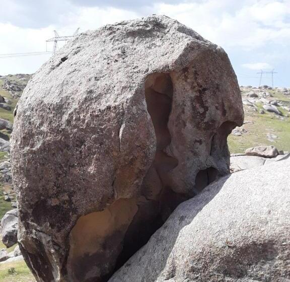 פנסיון Optimist