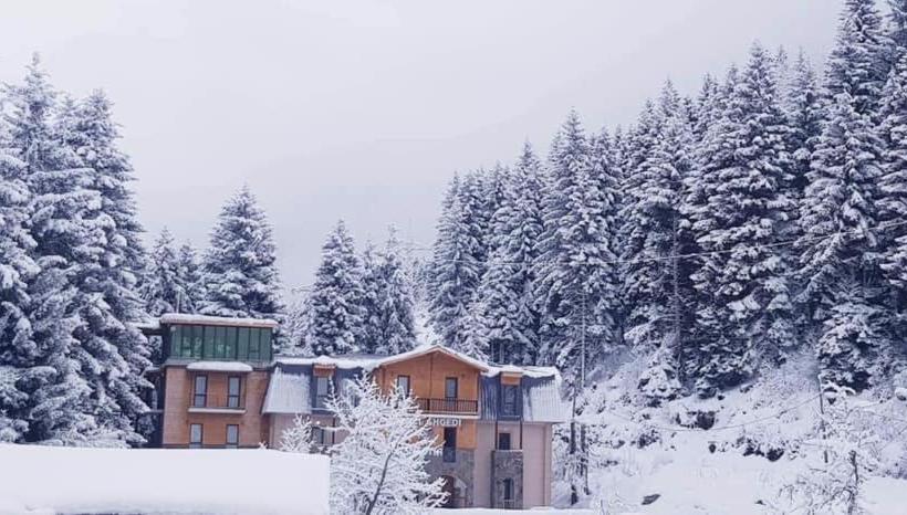 هتل Shgedi Mestia