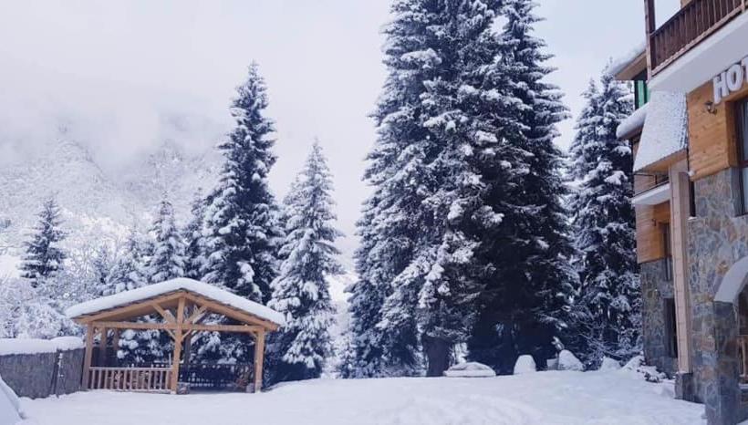 هتل Shgedi Mestia