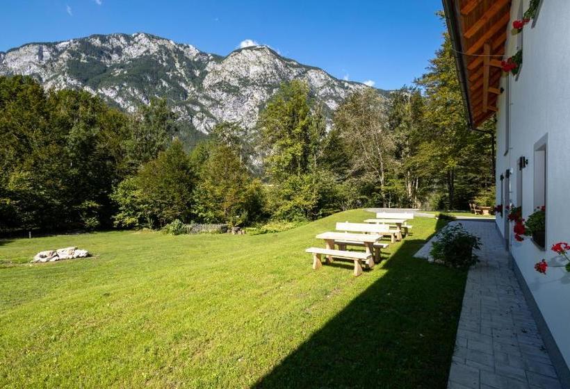 Bohinj Apartments Goldhorn Kingdom