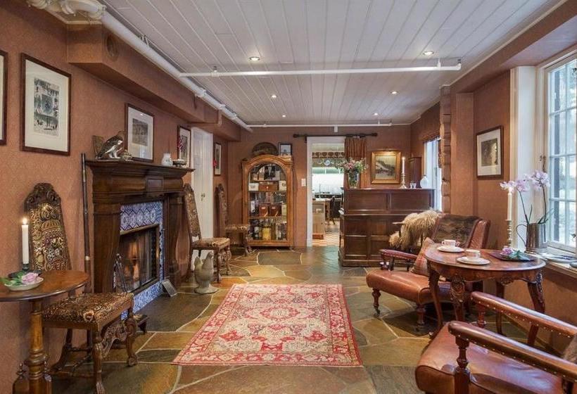 Отель Geilo Mountain Lodge