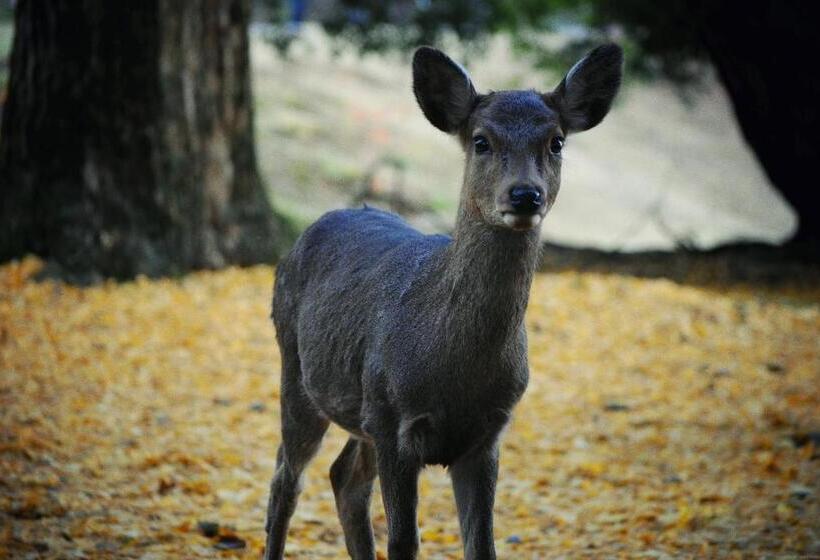 Majatalo Naraigoto Eena House