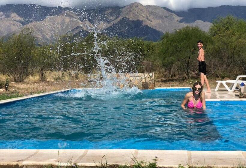 ユースホステル Campoalto Suites