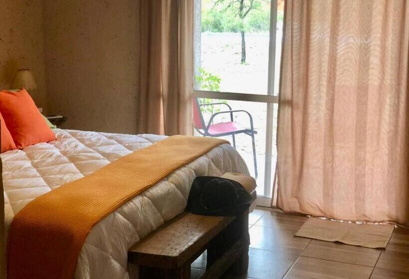 ユースホステル Campoalto Suites