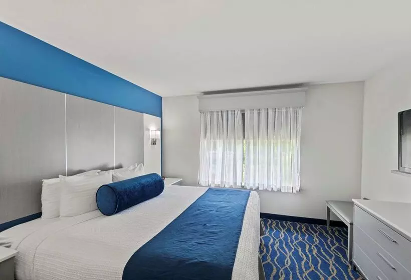 Best Western Plus Lake Lanier Gainesville Hotel & Suites