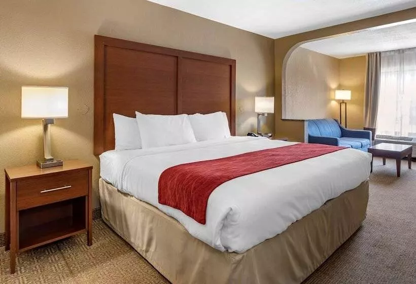 فندق Comfort Inn Biltmore West