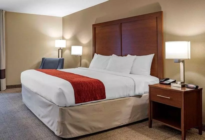 فندق Comfort Inn Biltmore West