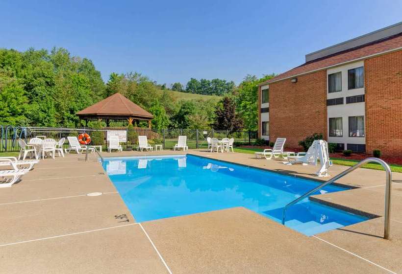 فندق Comfort Inn