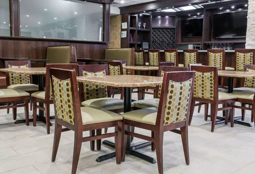 ホテル Comfort Inn Metro Airport