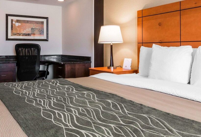 هتل Comfort Inn Metro Airport