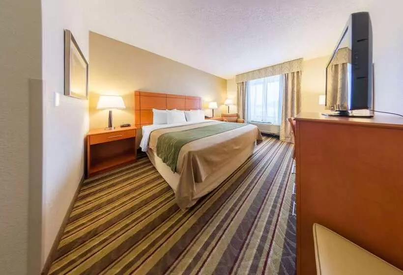 ホテル Comfort Inn Metro Airport