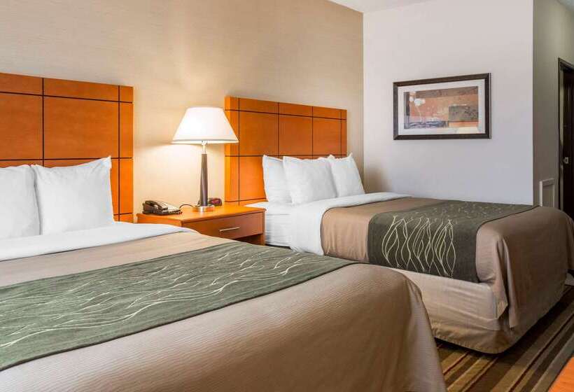 هتل Comfort Inn Metro Airport