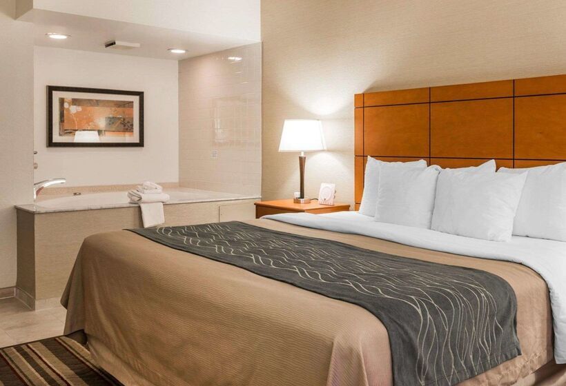 هتل Comfort Inn Metro Airport