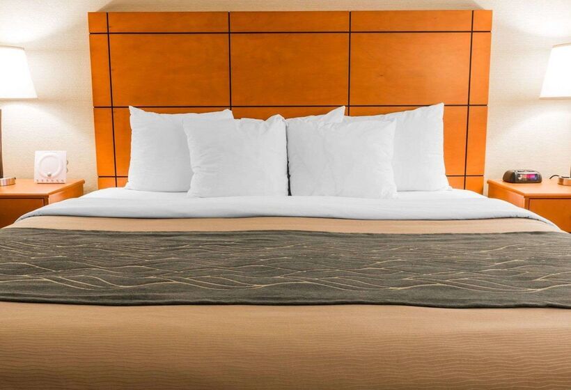 هتل Comfort Inn Metro Airport