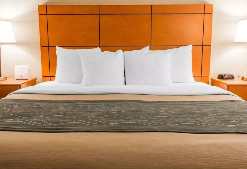 ホテル Comfort Inn Metro Airport