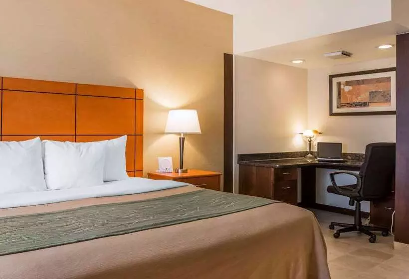 ホテル Comfort Inn Metro Airport