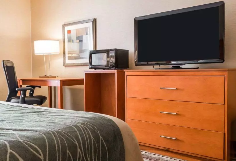 ホテル Comfort Inn Metro Airport