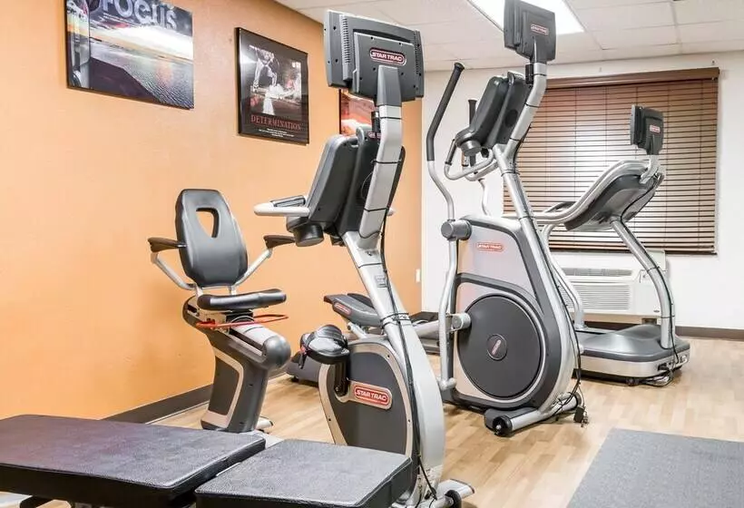 ホテル Comfort Inn Metro Airport