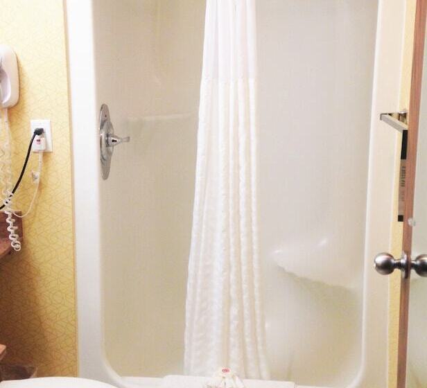 هتل Comfort Inn Metro Airport