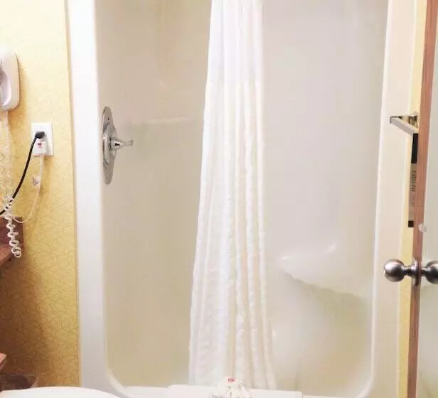 ホテル Comfort Inn Metro Airport