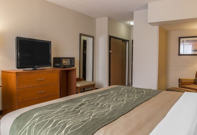 هتل Comfort Inn Metro Airport