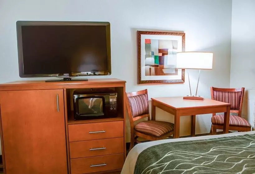 ホテル Comfort Inn Metro Airport