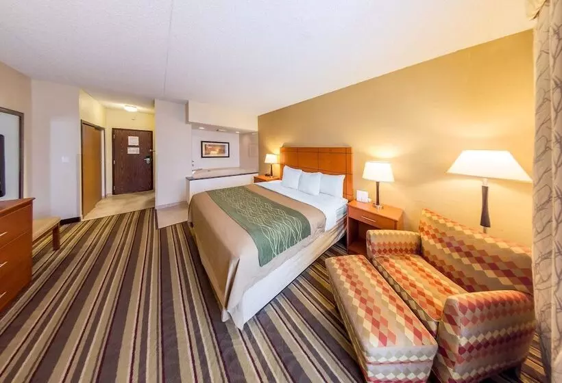 ホテル Comfort Inn Metro Airport