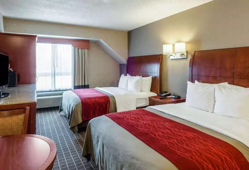 ホテル Comfort Inn & Suites