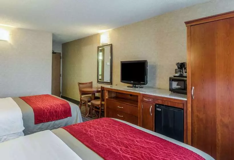 ホテル Comfort Inn & Suites