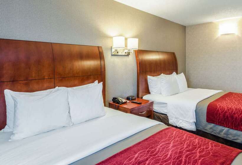 فندق Comfort Inn & Suites