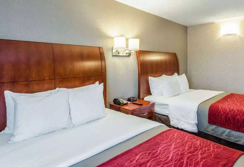 ホテル Comfort Inn & Suites