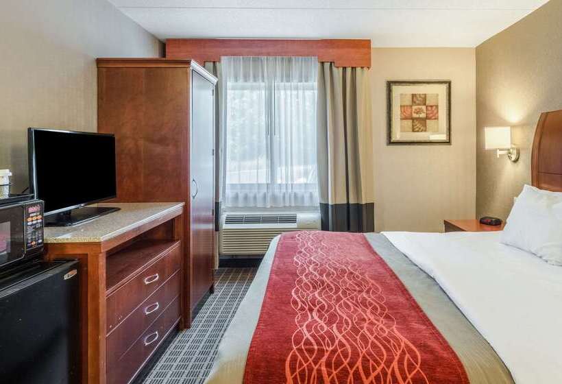فندق Comfort Inn & Suites