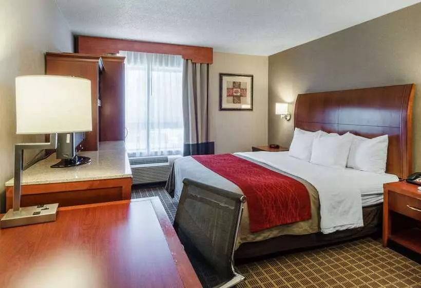 ホテル Comfort Inn & Suites