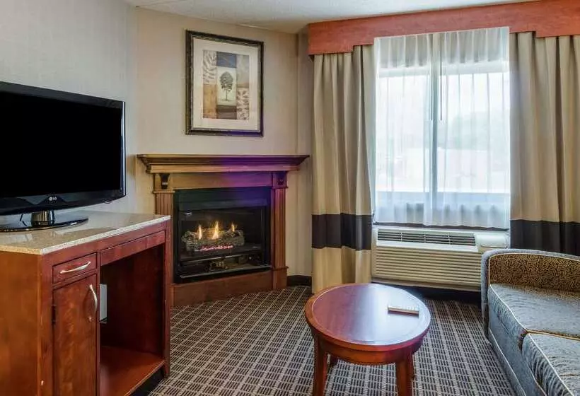 ホテル Comfort Inn & Suites