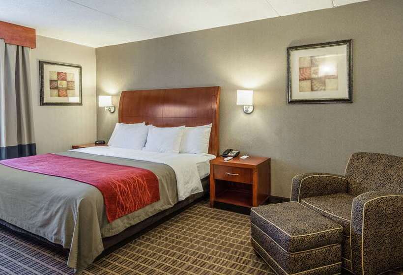 فندق Comfort Inn & Suites