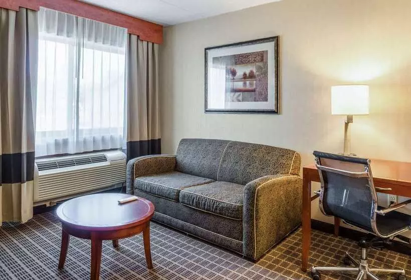 ホテル Comfort Inn & Suites