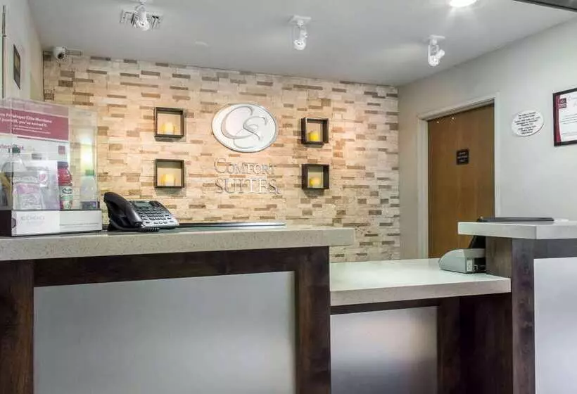 호텔 Comfort Suites At Tucson Mall