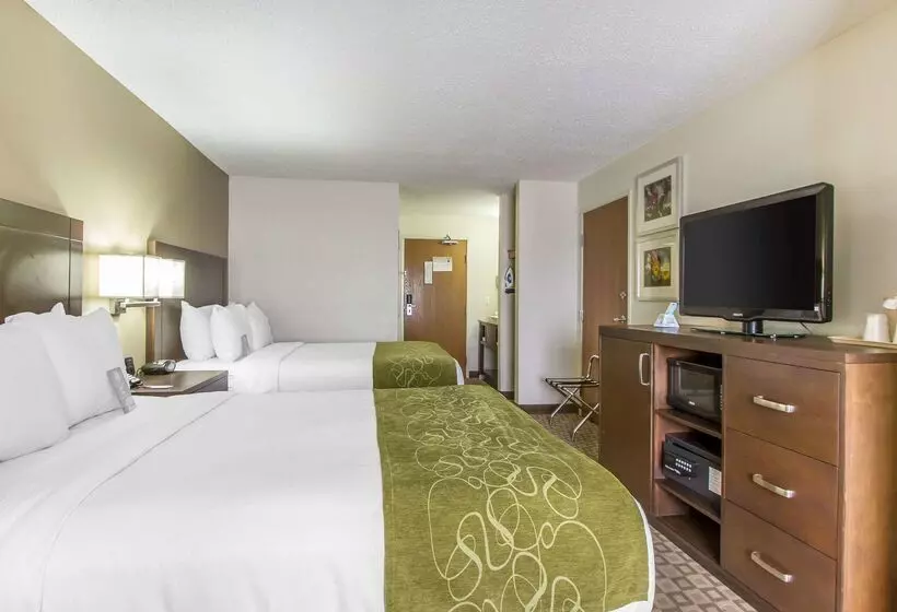 호텔 Comfort Suites At Tucson Mall